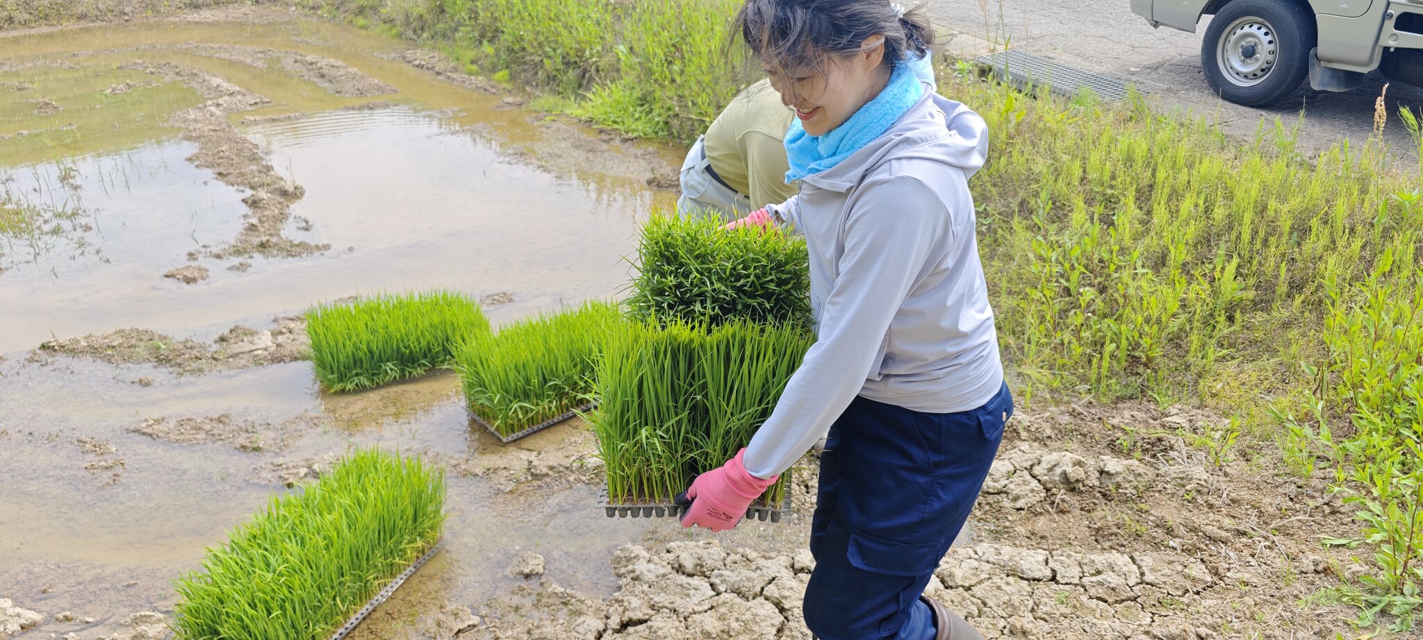 ホスト自身も田植えに参加