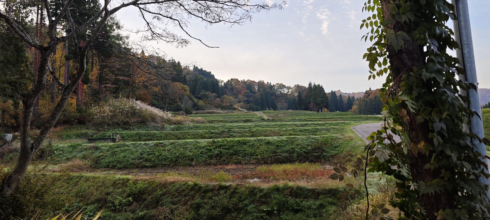棚田 · 晩秋
