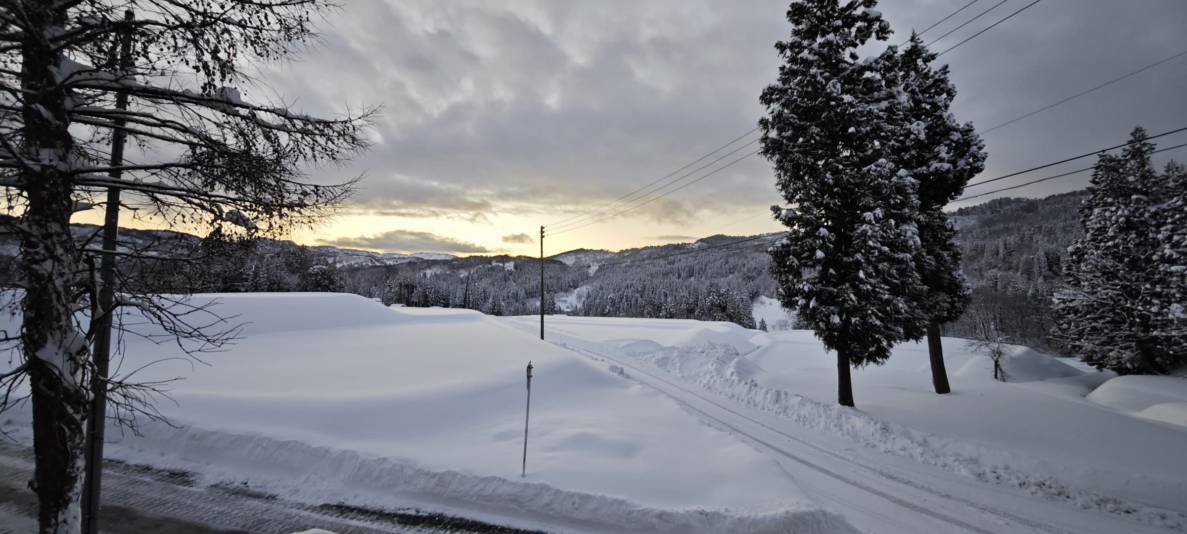 夕焼けの雪景 · 電柱のシルエット